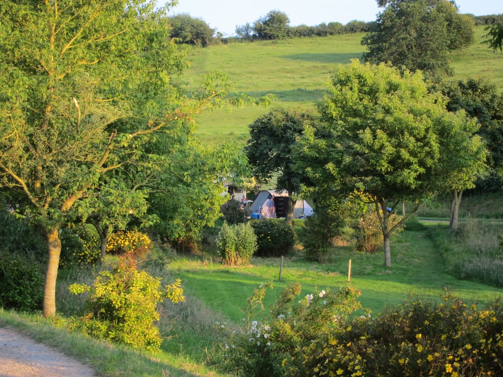 Wide view of Batcombe Vale Campsite showing pitches, trees and rolling hills