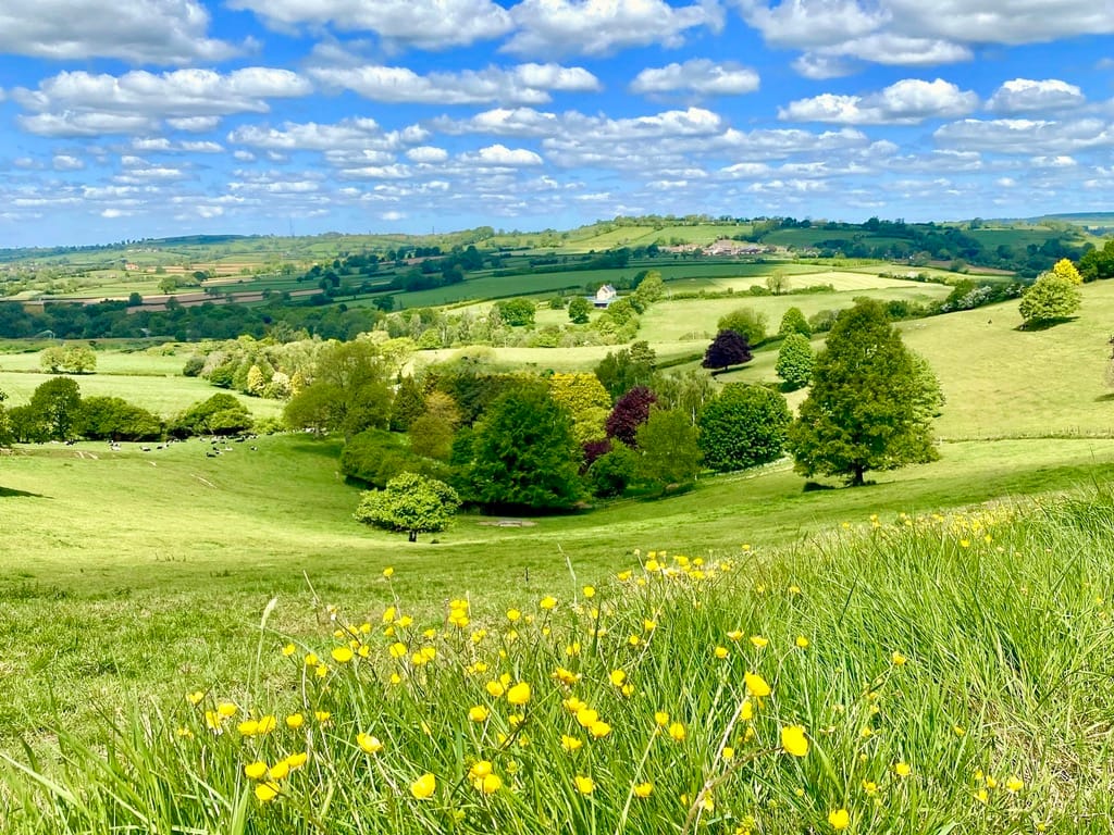 Valley view of Batcombe Vale Campsite with the lake and mature trees