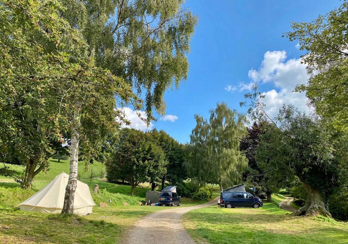 Batcombe Vale, Batcombe Vale Campsite, Bruton, Adult only, dog friendly, somerset, grass pitches