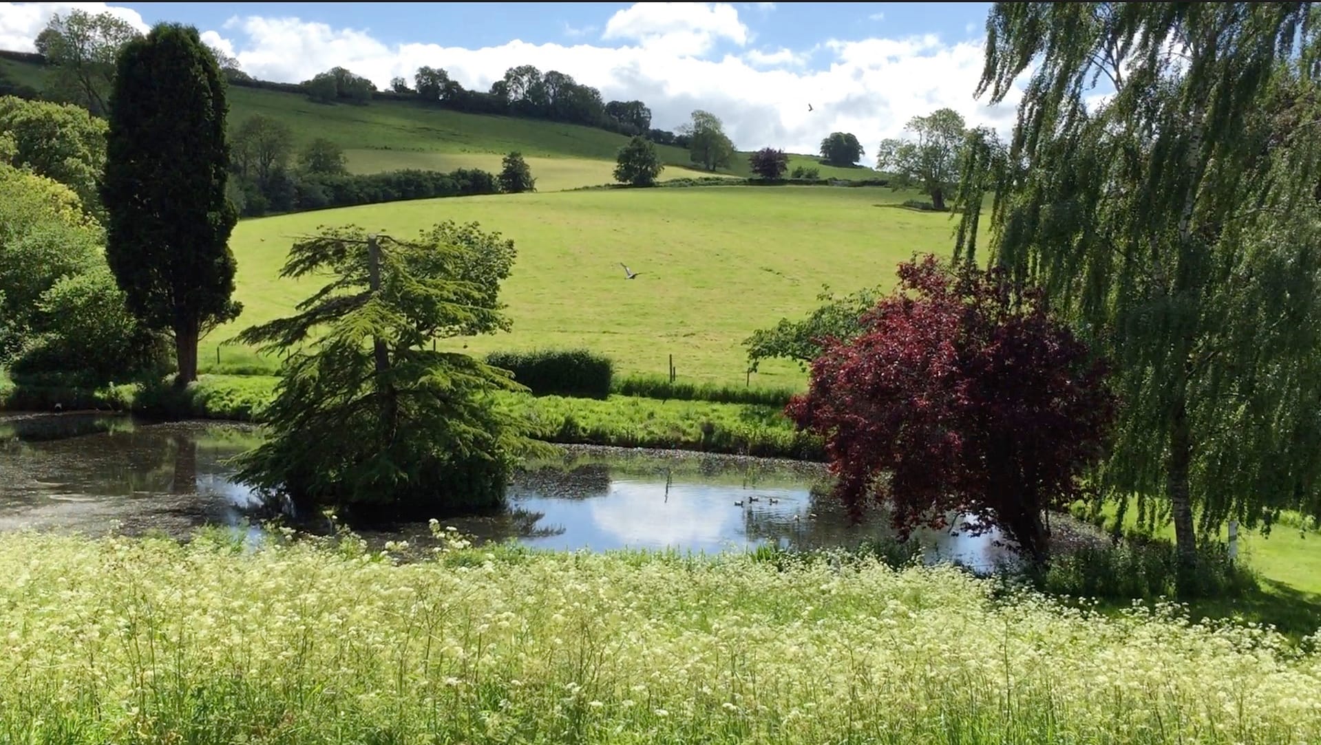 Batcombe Vale, adult only, dog friendly, campsite, Somerset, Batcombe Vale Campsite, Lake, rolling hills