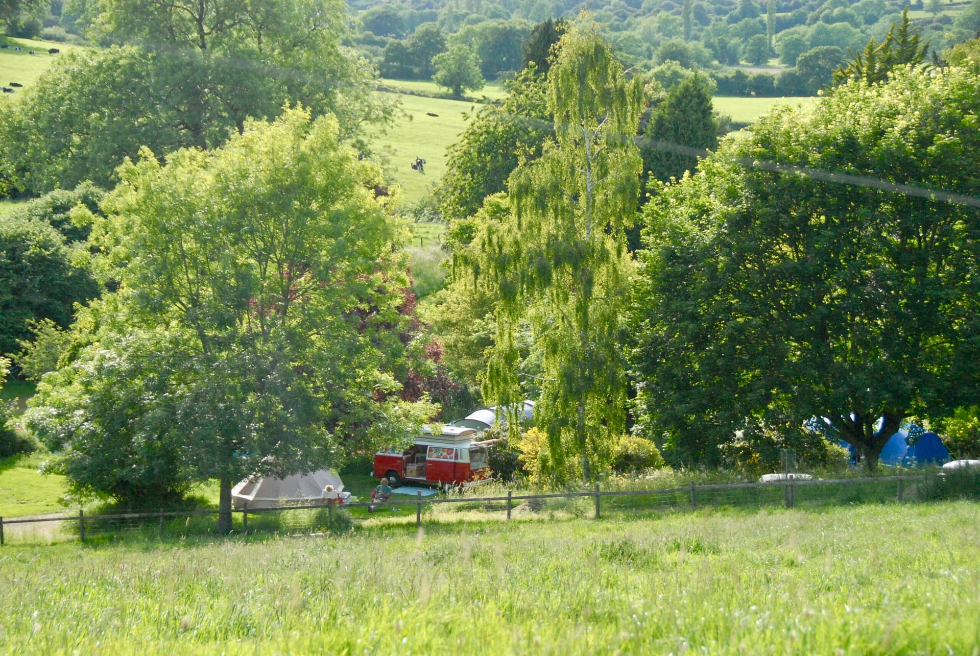 Happy carefree days! Batcombe Vale, Batcombe Vale Campsite, Adult only, dog friendly, Somerset, Campsite, Grass pitches, valley view