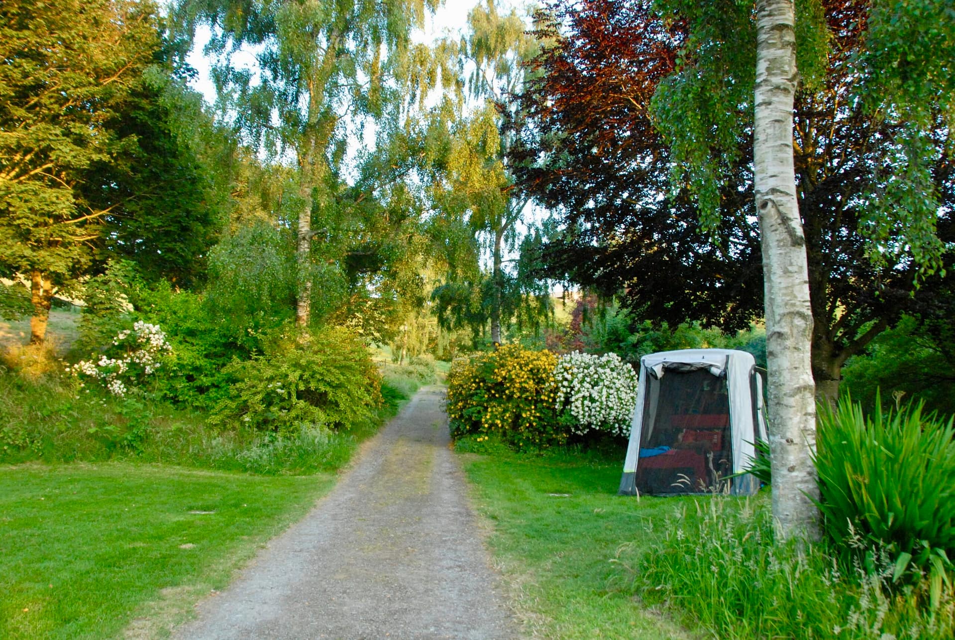 Grass pitches, Batcombe Vale, Batcombe Vale Campsite, Bruton, Somerset, Adult only, Dog friendly
