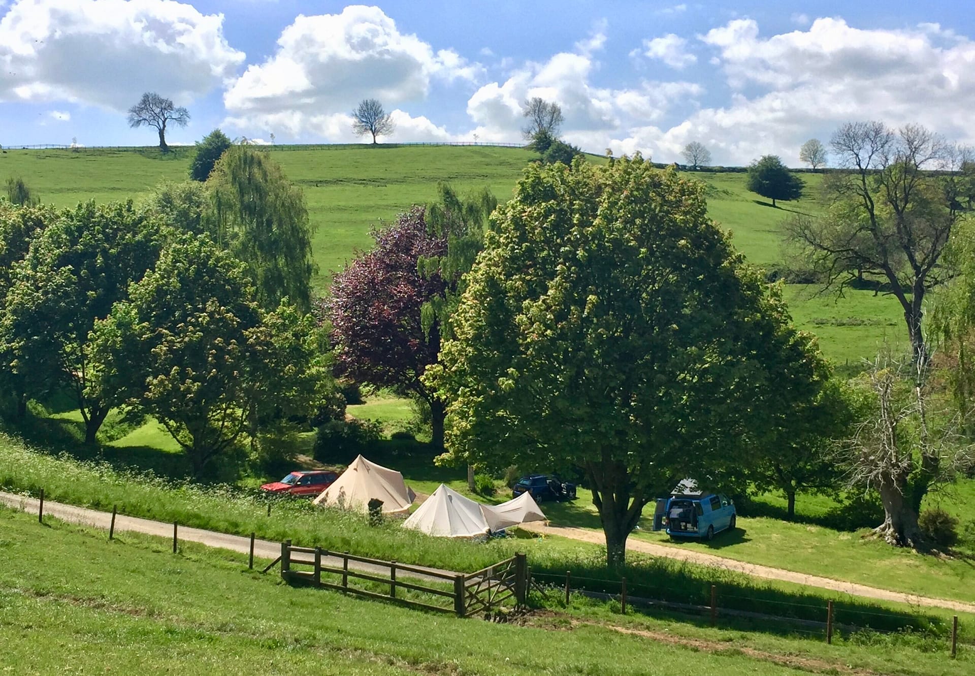 Bell tents, batcombe vale campsite, batcombe vale, adult only, dog friendly, rolling hills, bruton