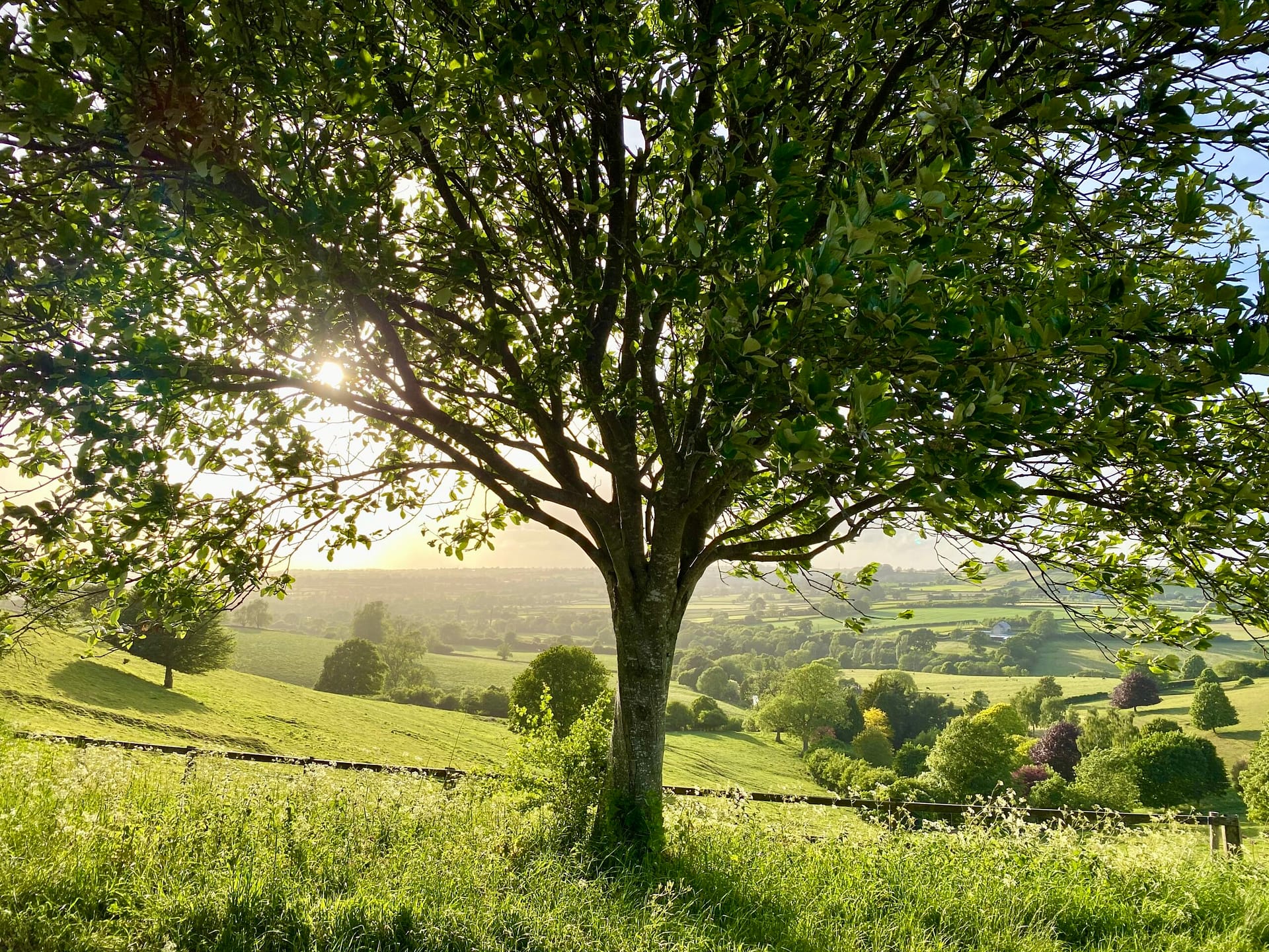 Hilltop view of Batcombe Vale Campsite in the summer sun