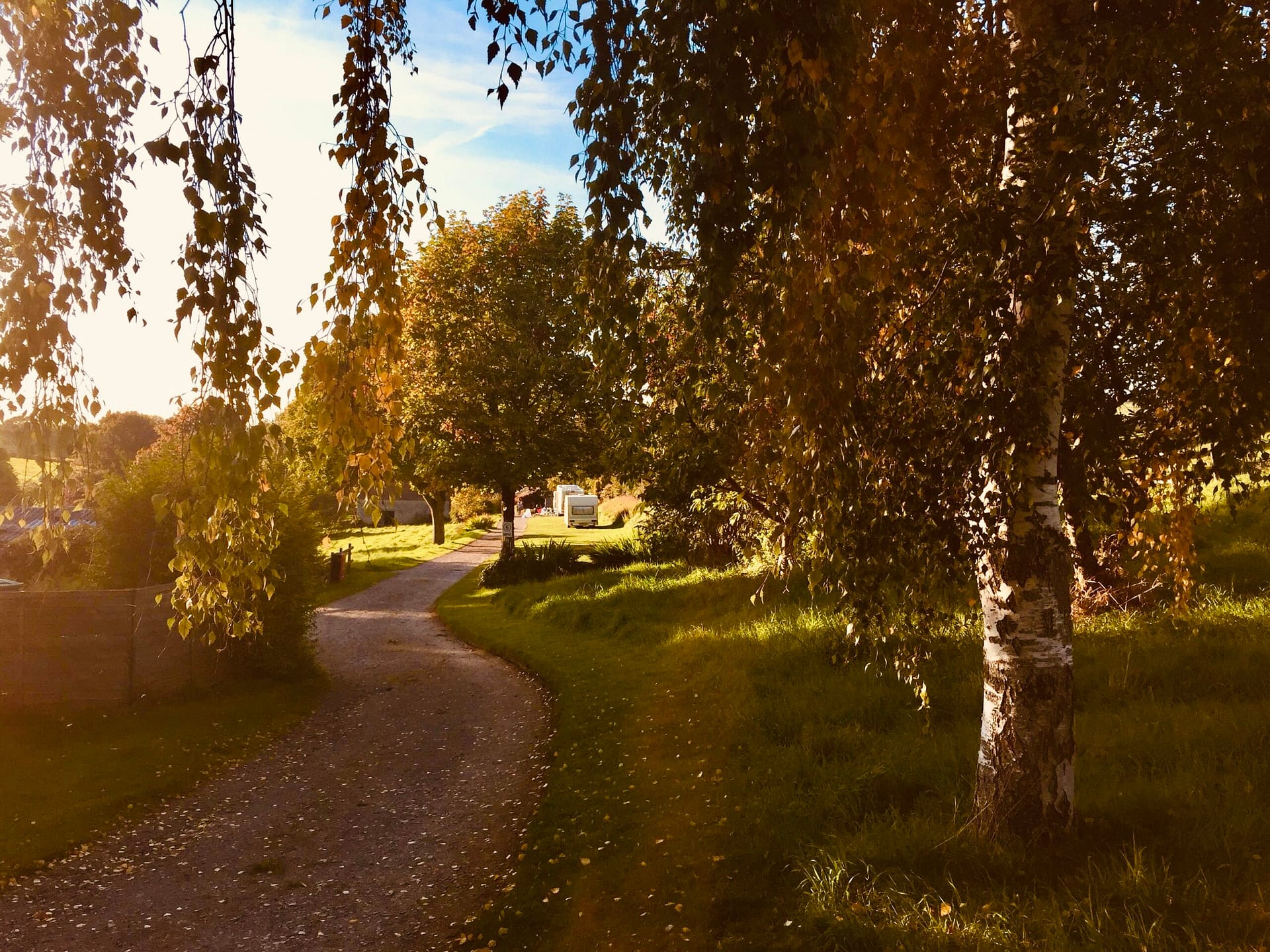 Golden hour light on the path through Batcombe Vale Campsite with trees and pitches visible