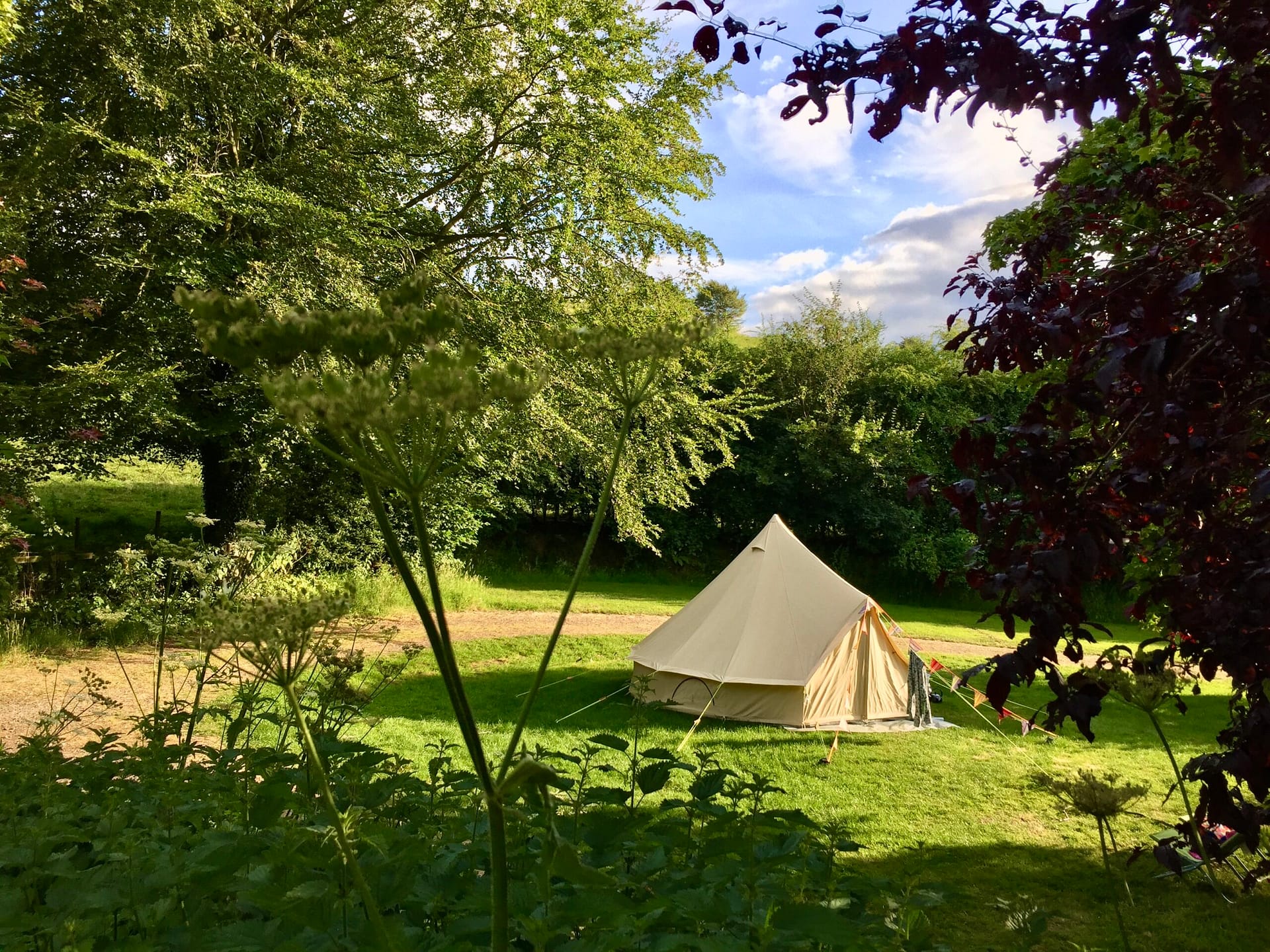 A classic white bell tent pitched on a spacious green grass pitch nestled amongst mature trees at Batcombe Vale campsite in Somerset.