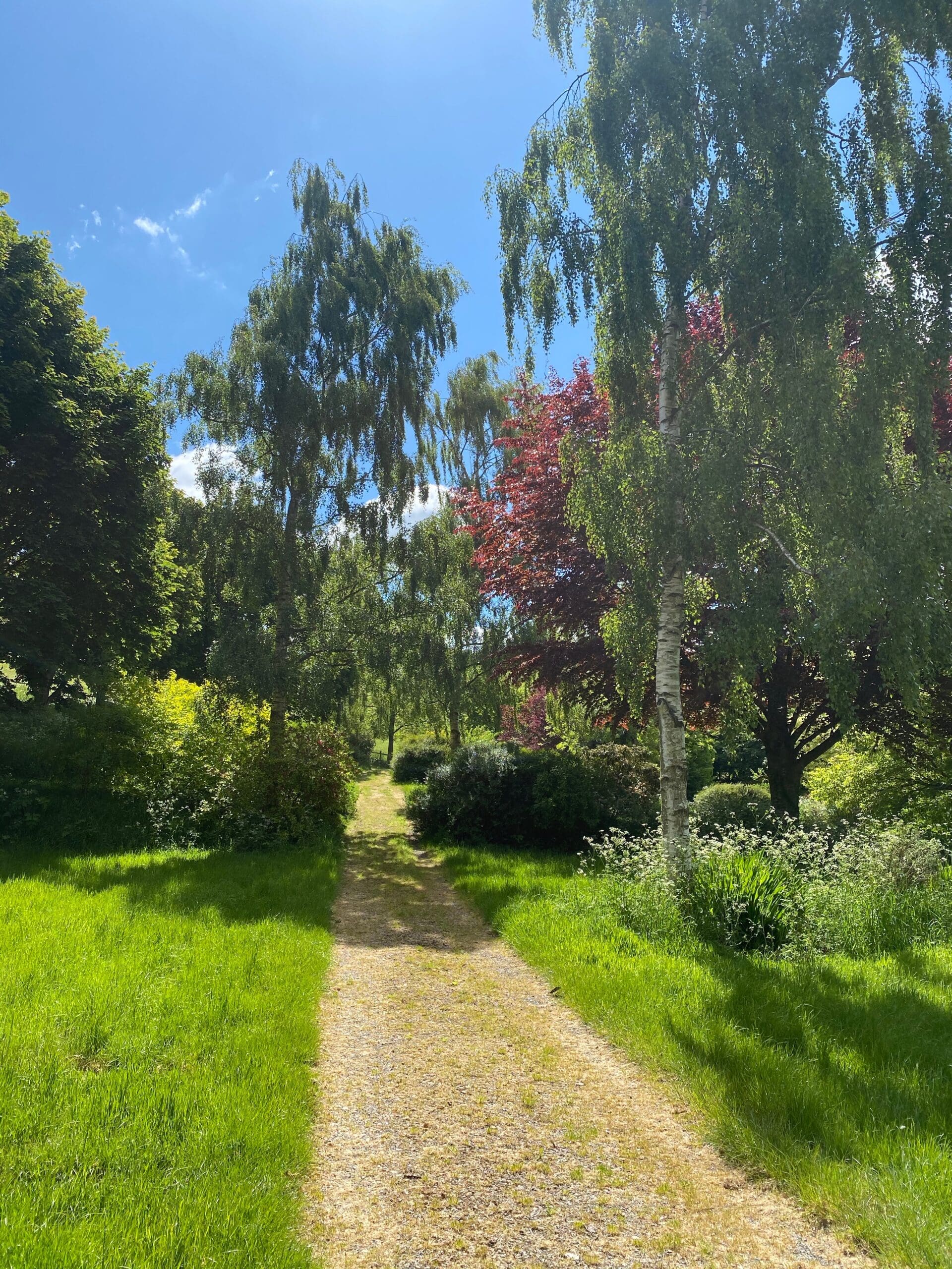 Batcombe Vale, Batcombe Vale Campsite, Adult only, Dog friendly, Bruton, Somerset