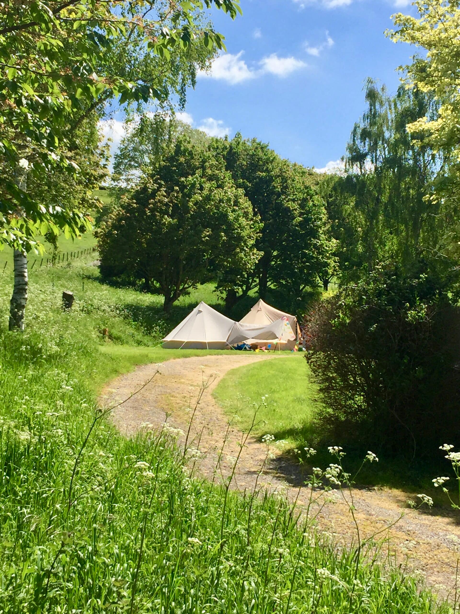Bell tents on a grassy pitch at Batcombe Vale Campsite beside a tree-lined path