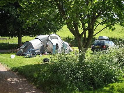 Tents pitched beneath trees at Batcombe Vale Campsite in Bruton, Somerset