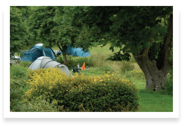 grass pitch, tents, Batcombe Vale campsite, Batcombe Vale, rural, adult only campsite, dog friendly campsite,