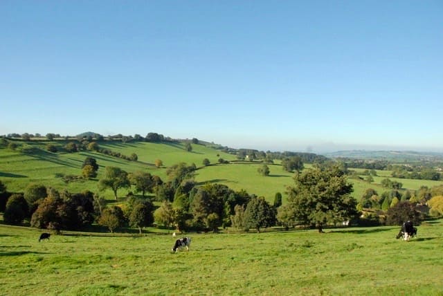 Rolling hills, Somerset, Batcombe Vale, Batcombe Vale Campsite, Bruton , adult only, dog friendly campsite